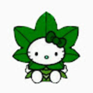 Meet your Posher, Elyse